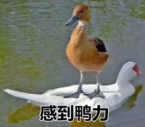 不好好吃饭,长得慢?这7大绝招,最快1周,让宝宝