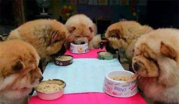 不好好吃饭,长得慢?这7大绝招,最快1周,让宝宝