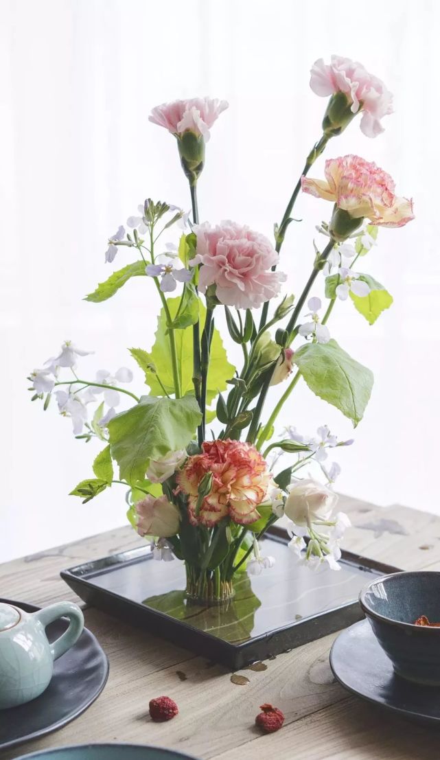 入秋就养这5种花 一开就是上百天 冬天再冷也不怕 腾讯网