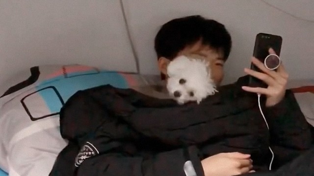 你听过宿舍养狗检讨书没有?宿舍里就真的不能