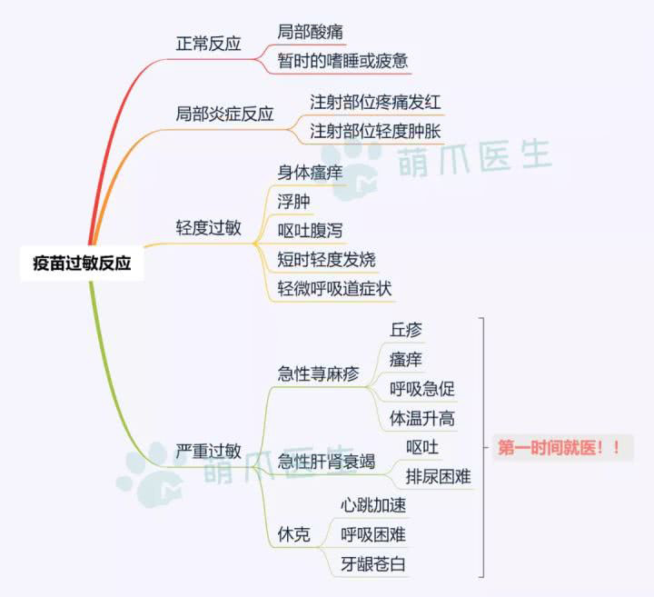 王牌铲屎官丨打完针,猫肿了?猫狗疫苗过敏问题