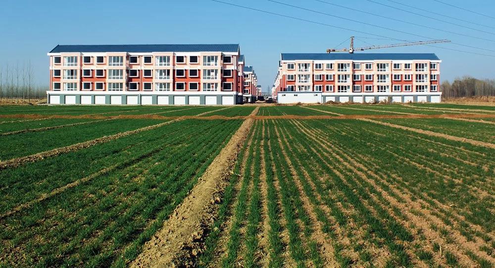 农村问题研究专家:宅基地三权分置改革不意味