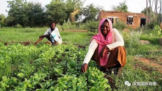 2018年非洲人口达到12.86亿人,未来会爆发饥荒