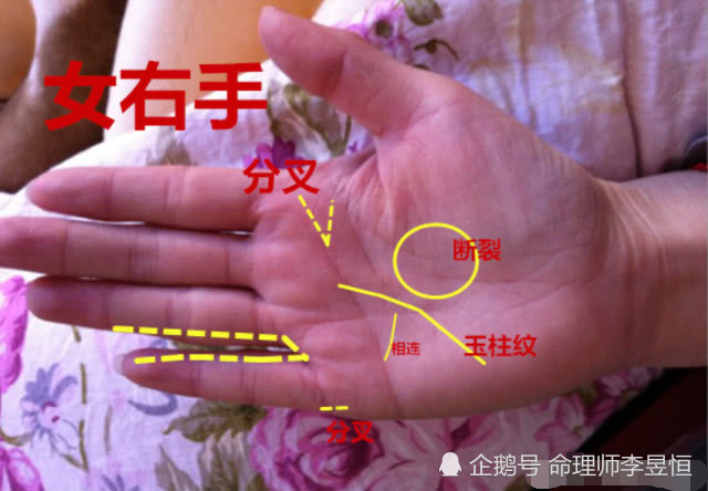 手相 天纹断裂 小指分家 岛纹明显 谨防婚变