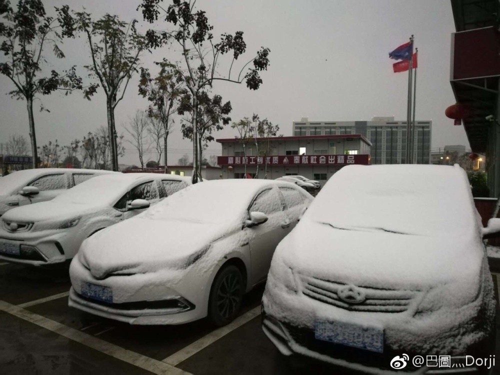 成都下雪了,而且雪大的要打破记录!上海重庆都