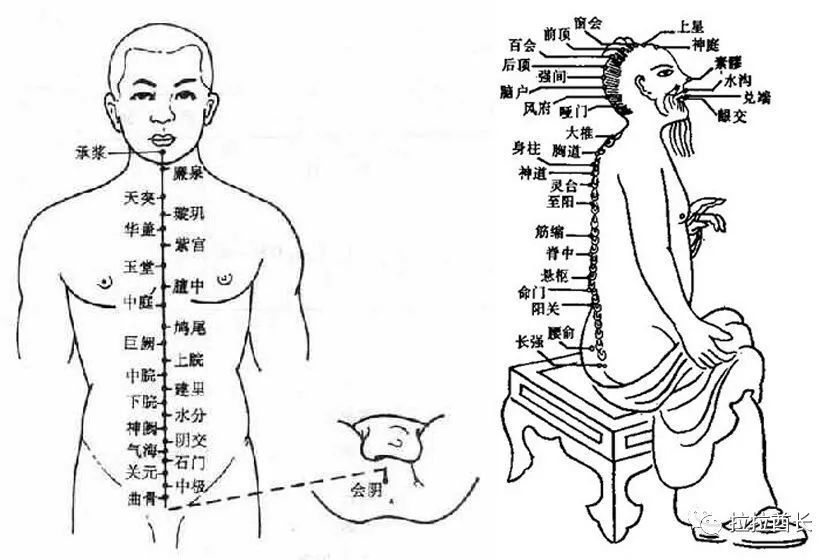 健康中医奇经八脉之任脉