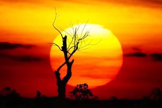 大脑|趣知识：人类为何记不住三岁之前的事情