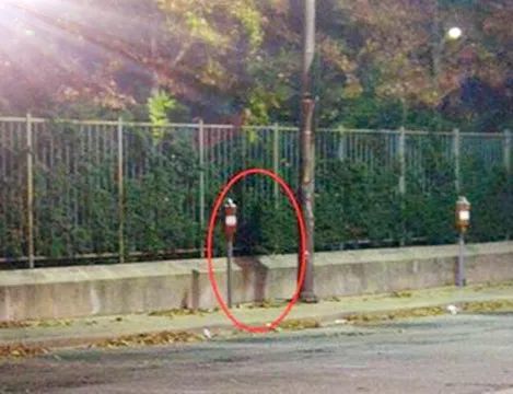 大脑|趣知识：人类为何记不住三岁之前的事情