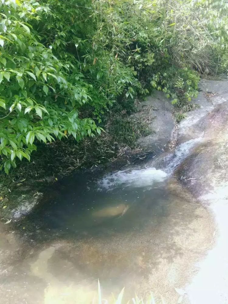 耒阳导子镇出大片了,十分火爆,全耒阳都在看!