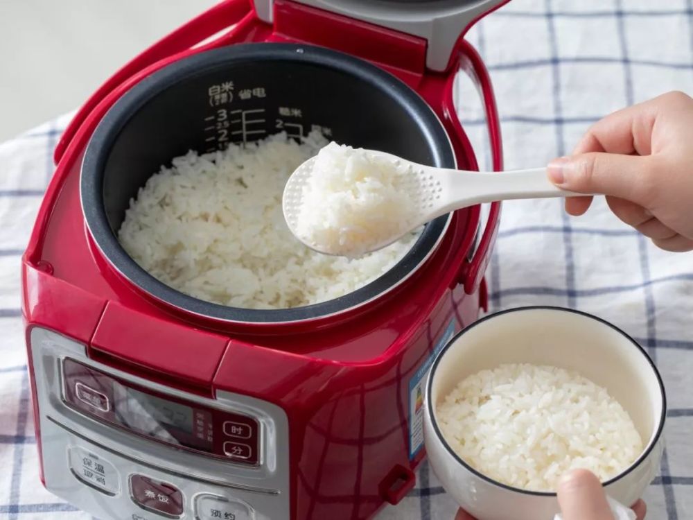 这款电饭煲出了迷你版一人份米饭也能煮