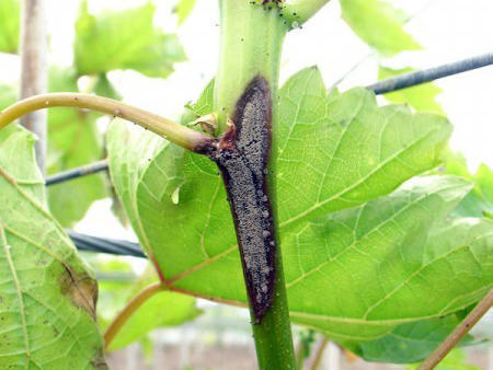 腾讯内容开放平台