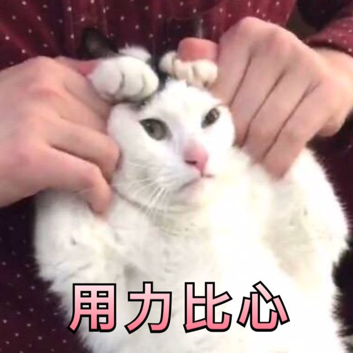 摩羯座11月运势 过山车的一个月 意外总是会悄然而至 腾讯新闻