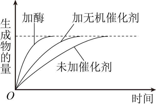 高中生物降低化学反应活能的酶微课精讲知识点课件教案习题