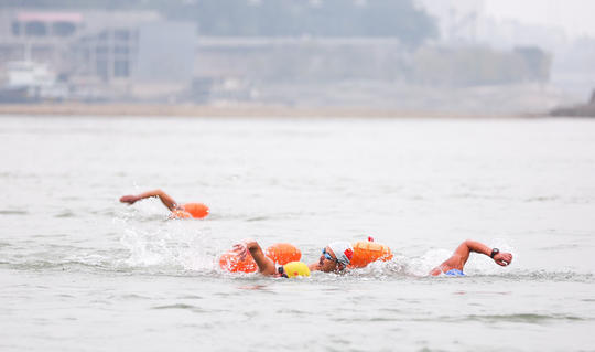 坚持了45年 1600多名游泳爱好者今年又横渡长