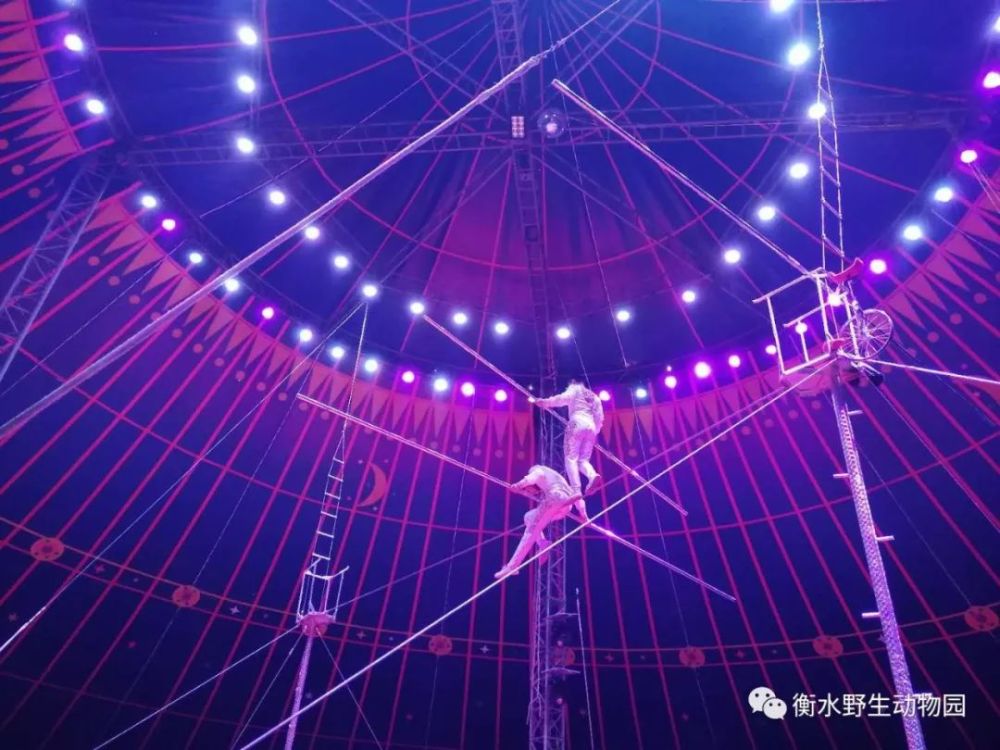 加油站机低槽