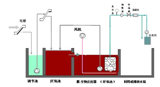 科力迩