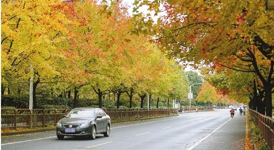 全国219家国家级经开区迎全面体检下沙跻身