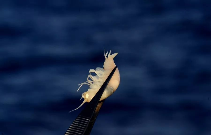把地球最深的祝福送给你，我的中国！