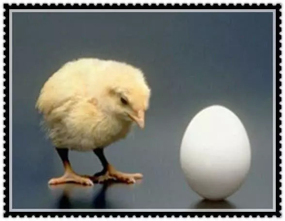 冷知识:圣经中鸡比蛋出现早,图4竖中指原来是从这来的!