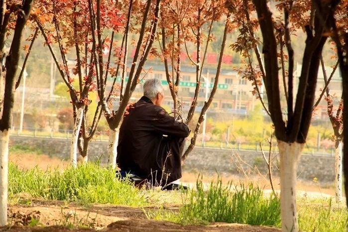 空巢老人遗赠保姆一半房屋