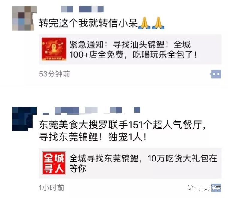 锦鲤是如何从中国美食变成表情包的