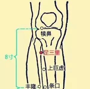 三陰交:健脾益血,通調肝脾腎三經,亦有安神之效,可幫助睡眠.