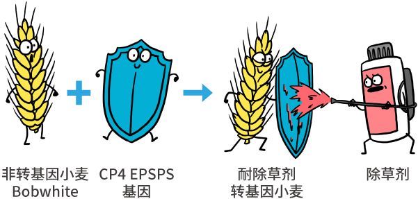 改變你認知的轉基因漫畫