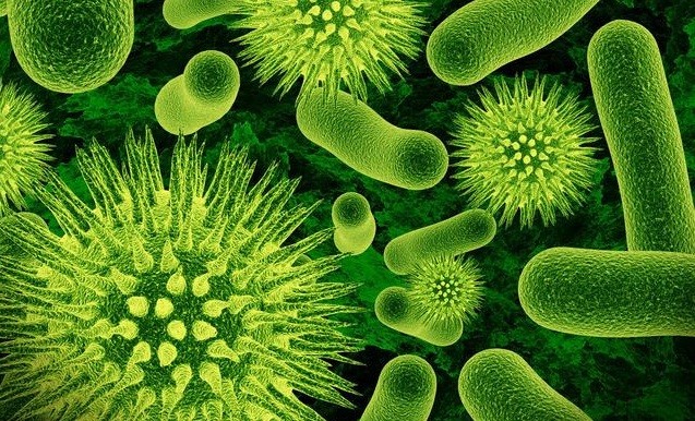 头孢和阿奇霉素这两种消炎药有什么区别?看看