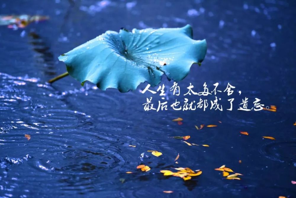 微信一句很走心的心情说说,朋友圈很流行的一句话