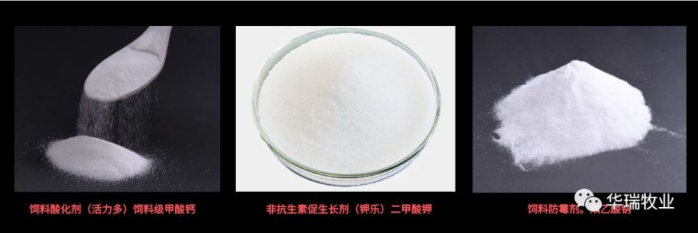 抗生素|二甲酸钾对于动物促生长的原理