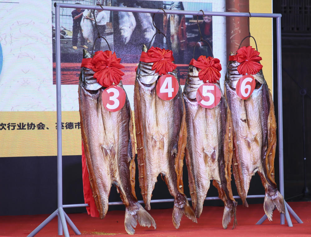 50斤"鱼干王"亮相英德第二届浈阳峡北江鱼干旅游美食节