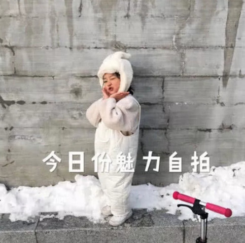 超燃·日常·撩汉·表情包:就你这怂样,还想来挑衅我