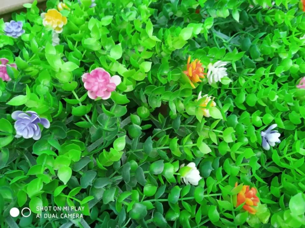 高颜值还送一年流量 千元小米Play让你告别随