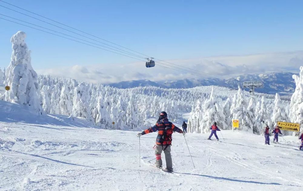 上海飞日本,5天4晚日本滑雪亲子营要多少钱?