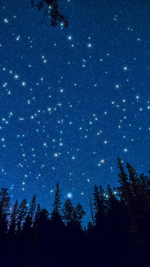 ins梦幻星空壁纸我想成为雨露和土壤为你披上茁壮外衣