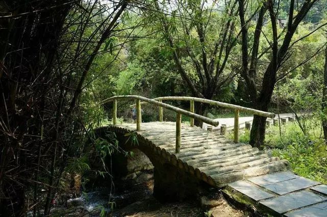汉张衡《西京赋》:"洪涯立而指麾,被毛羽之襳襹.