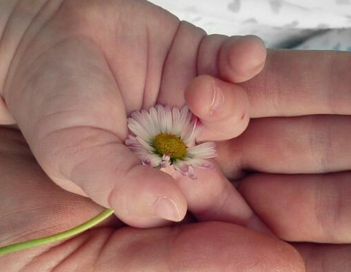 生二胎有补贴了?2019年实行新政策,你家乡的