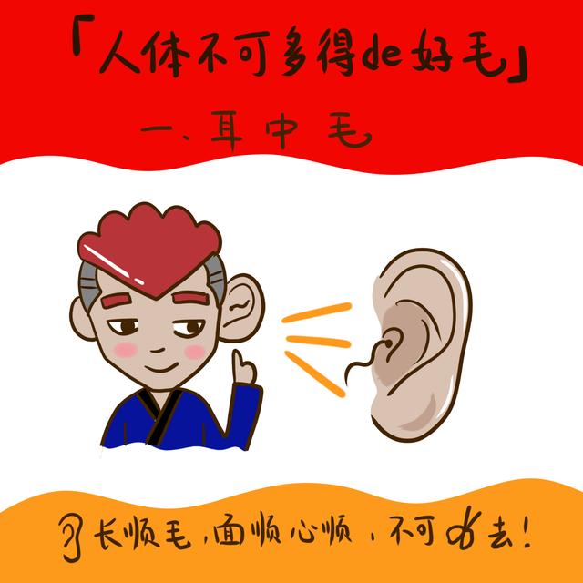 人身上这两个部位有毛福气大财运旺