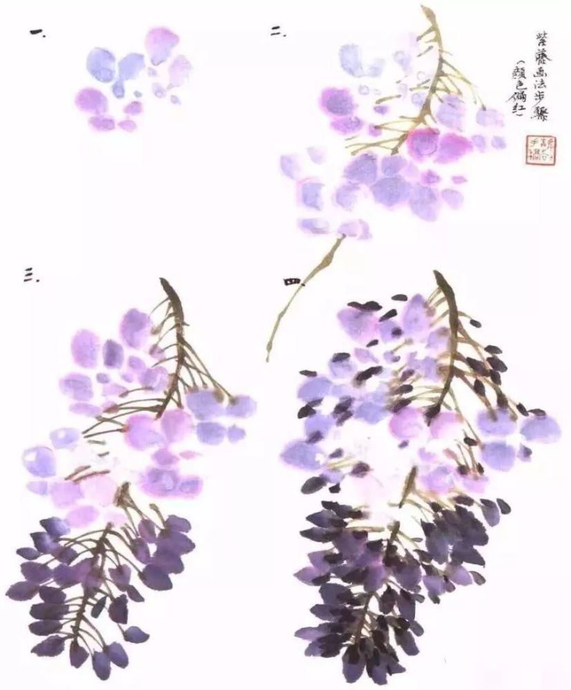 跟徐湛老师学画紫藤图片