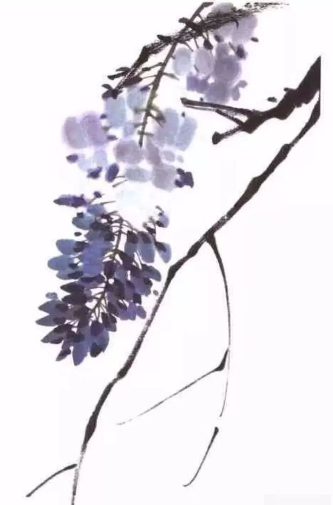 紫藤花的画法视频
