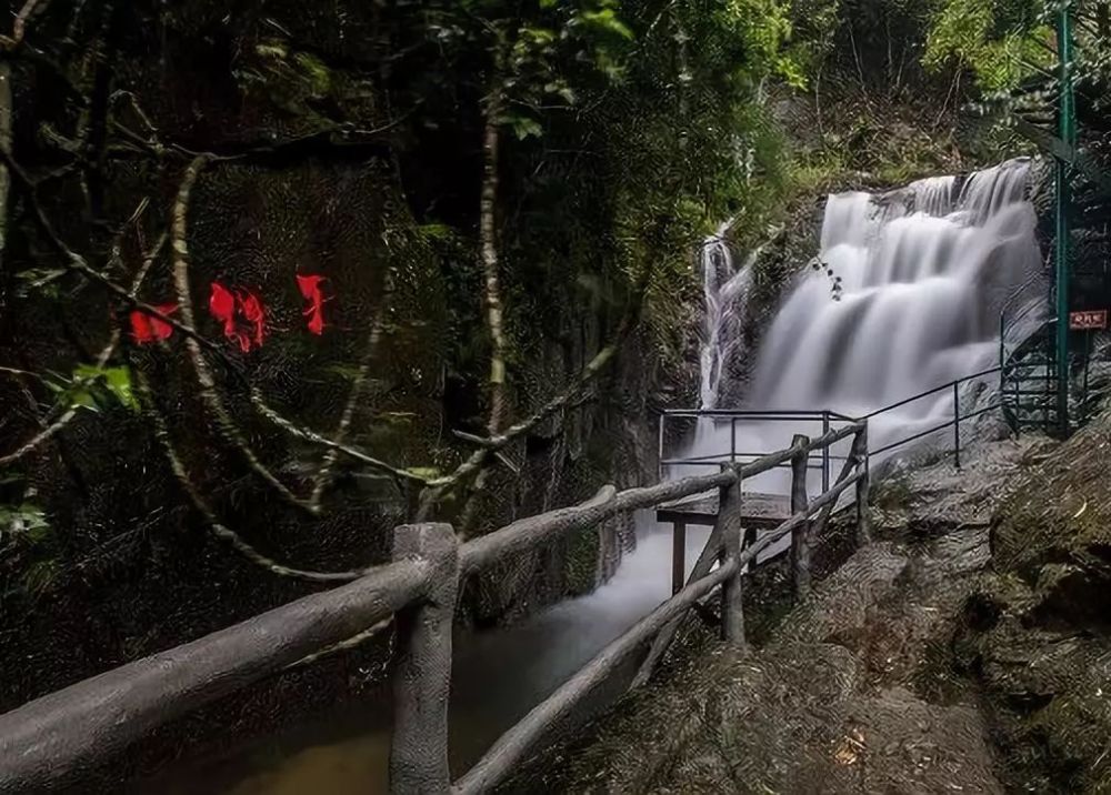 厲害!高州仙人洞成爆款景點,可惜