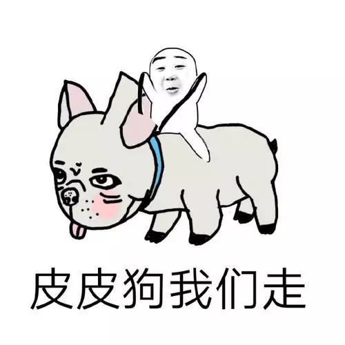 为了爆红伤害猫狗,所谓的萌宠视频对于动物来