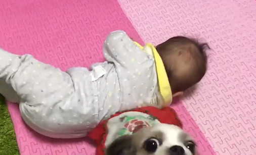 小宝宝翻身卡住了,小奶狗主动帮忙小主人,网友