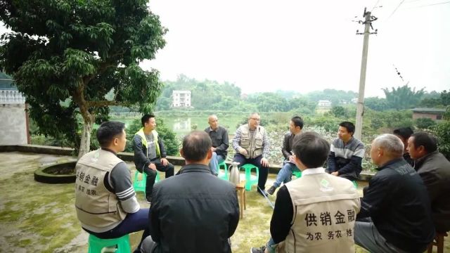 2018供销合作社改革新作为年度盘点