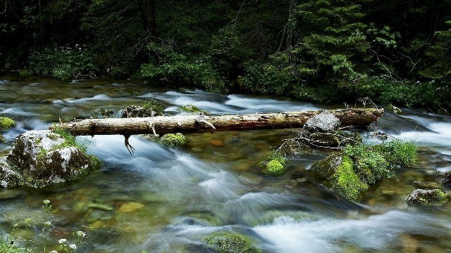 千年之泪,夙世情缘,斩不断的无涯,竟是一个人的天下,空城缀染半城烟沙