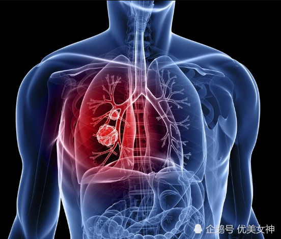 冷知识:心脏泵出血不用一个月装满游泳池,你每天掉80根头发