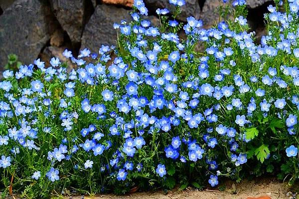 腾讯内容开放平台