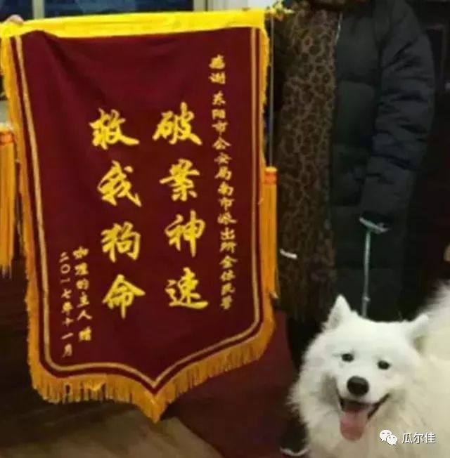 盘点警察收到的那些魔性锦旗