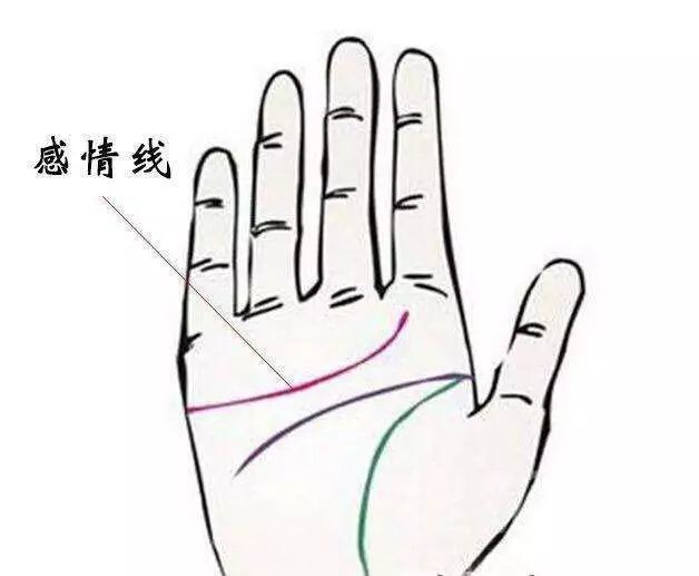 手相 感情線多 感情運是好是壞 天天看點