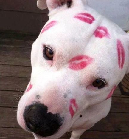 一组奇葩又逗趣的照片